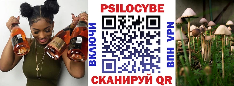 Псилоцибиновые грибы Cubensis  Купить где  Скопин 